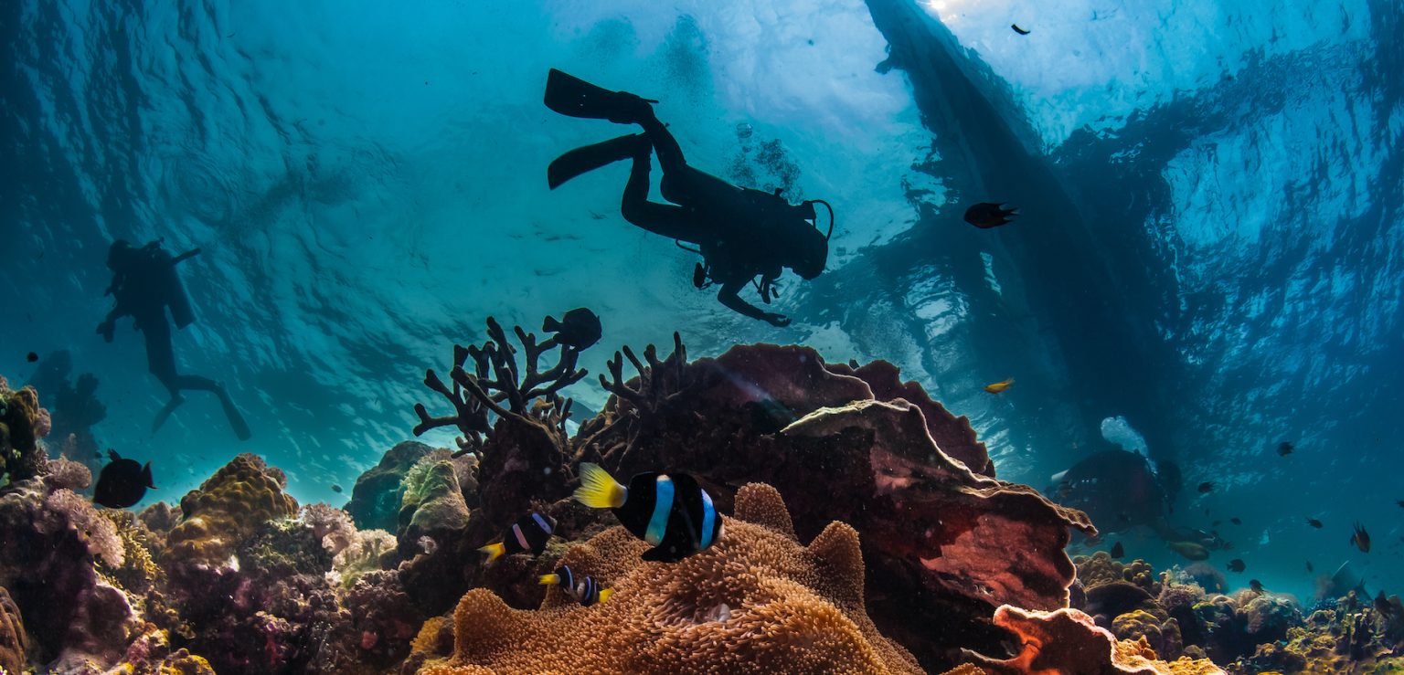 Two scuba divers explore a vibrant coral reef underwater, surrounded by colorful fish and clear blue water, beneath a silhouetted boat above.