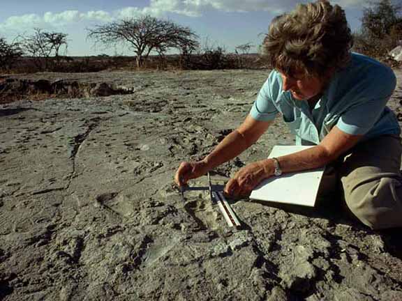 A person examines ancient footprints in a dry, rocky landscape with sparse trees, using measurement tools and a clipboard for documentation.