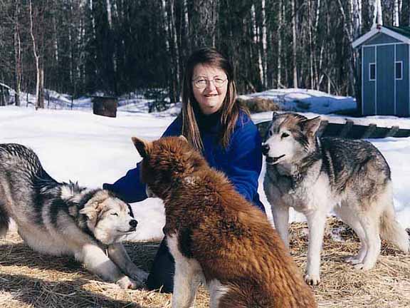 A person interacts with three dogs in a snowy outdoor setting, surrounded by trees and a small blue shed.